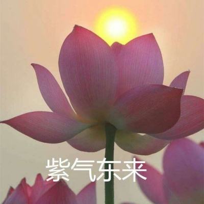 魔域剑仙公测版下载